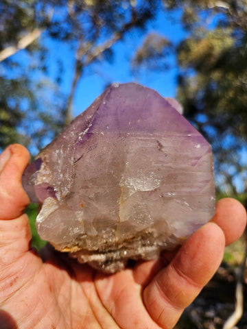 Wyloo Amethyst crystal . AM141