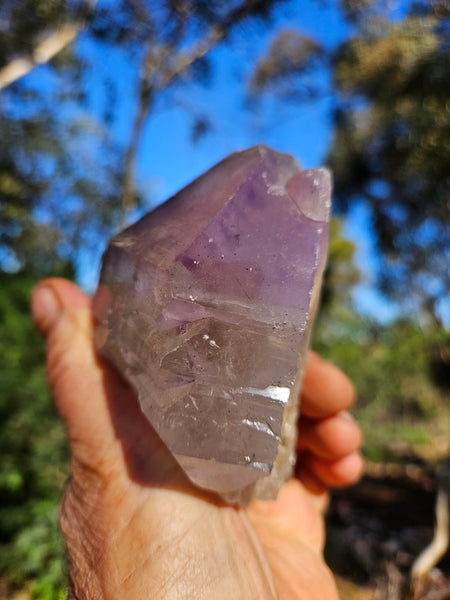 Wyloo Amethyst crystal . AM141