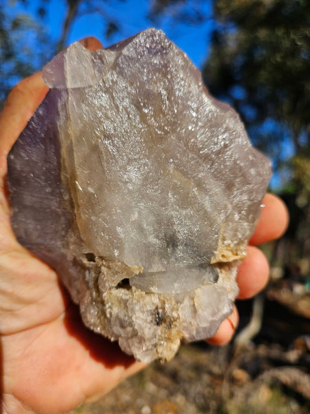 Wyloo Amethyst crystal . AM141