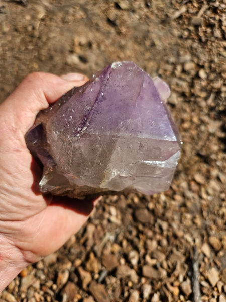 Wyloo Amethyst crystal . AM141