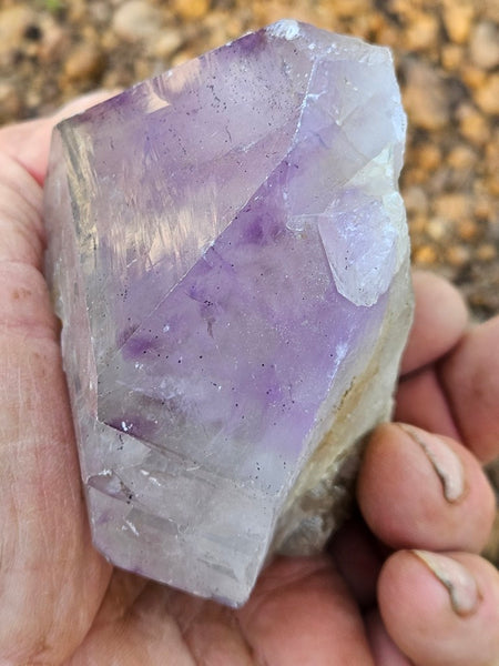 Wyloo Amethyst crystal . AM141