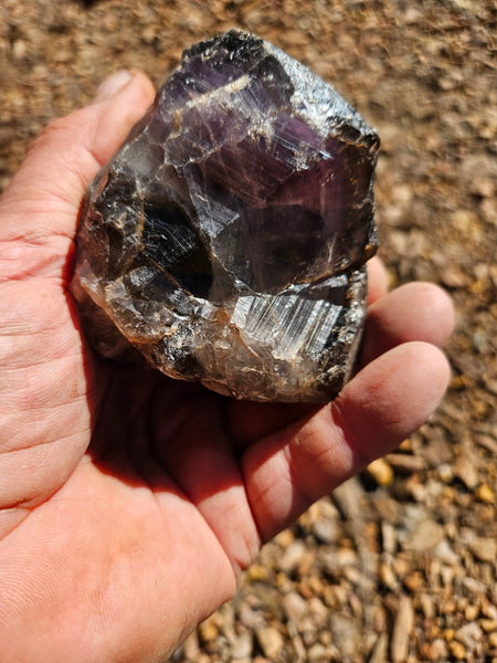 Wyloo Amethyst crystal . AM143