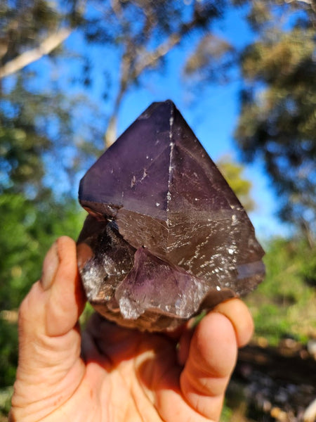 Wyloo Amethyst crystal . AM142