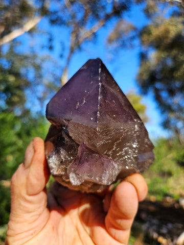 Wyloo Amethyst crystal . AM142