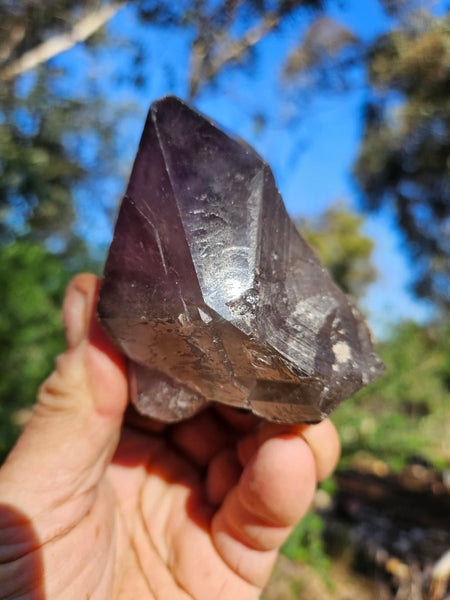 Wyloo Amethyst crystal . AM142