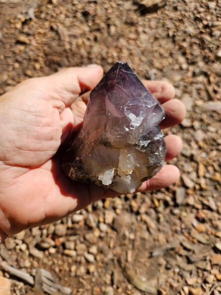 Wyloo Amethyst crystal . AM142