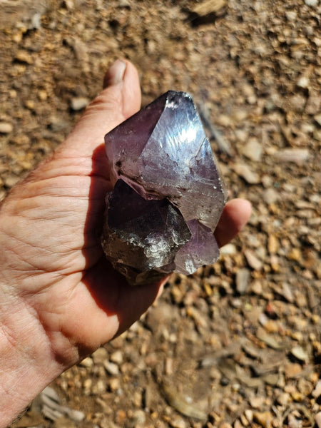 Wyloo Amethyst crystal . AM142
