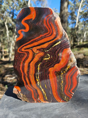 Polished Tiger Iron  TI380