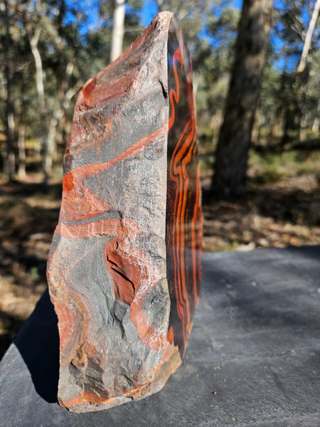 Polished Tiger Iron  TI380