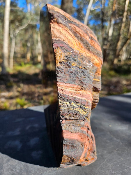 Polished Tiger Iron  TI380