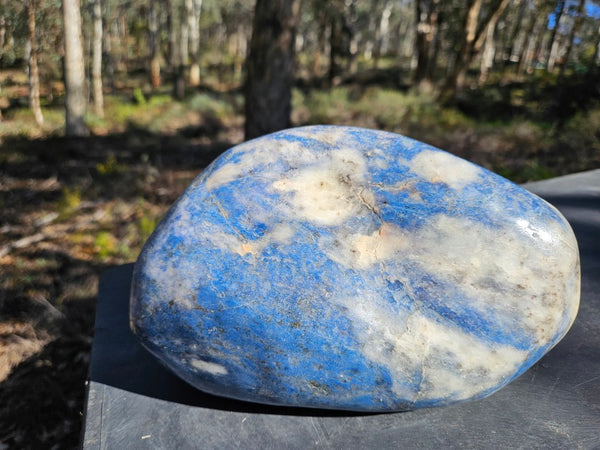 Contour Polished Blue Lepidolite  BL264