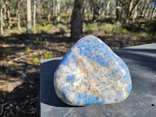 Contour Polished Blue Lepidolite  BL264