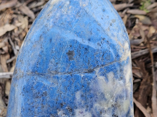 Contour Polished Blue Lepidolite  BL264