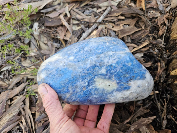 Contour Polished Blue Lepidolite  BL264