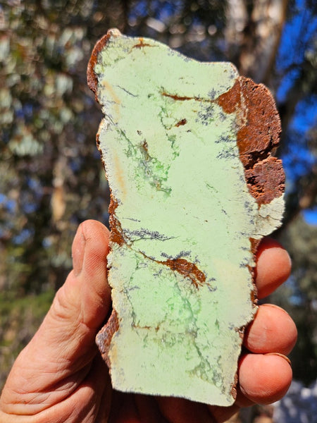 Polished Magnesite slab. MAP221