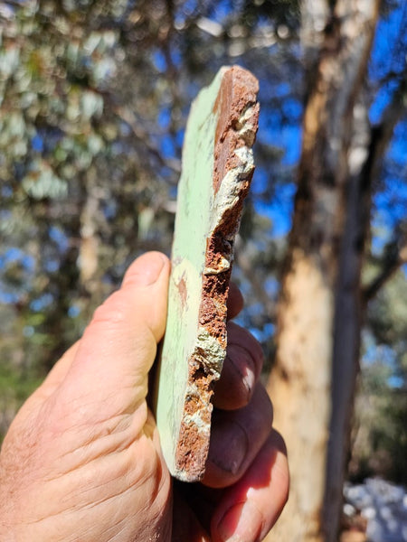 Polished Magnesite slab. MAP221