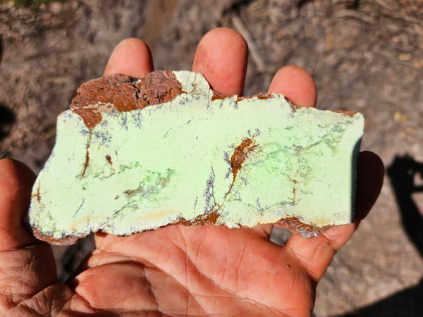 Polished Magnesite slab. MAP221