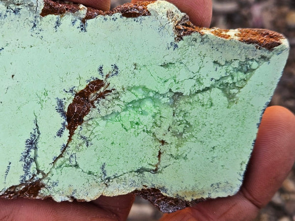Polished Magnesite slab. MAP221