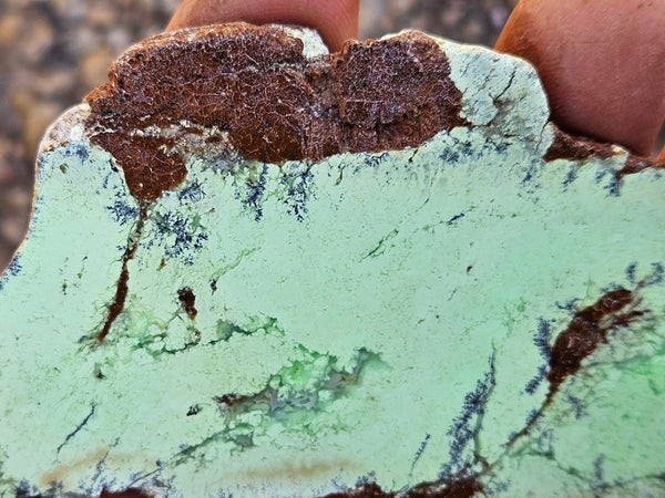 Polished Magnesite slab. MAP221