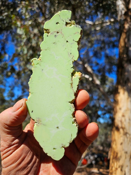 Polished Magnesite slab. MAP220
