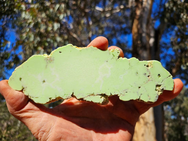 Polished Magnesite slab. MAP220