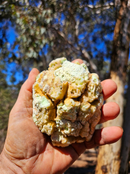 Polished Lime Magnesite specimen. MAP219