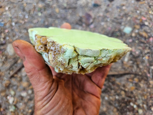 Polished Lime Magnesite specimen. MAP219