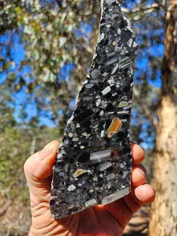 Black Jasper Conglomerate slab B231