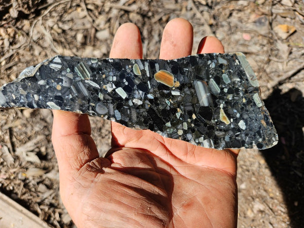 Black Jasper Conglomerate slab B231