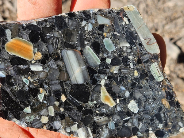 Black Jasper Conglomerate slab B231