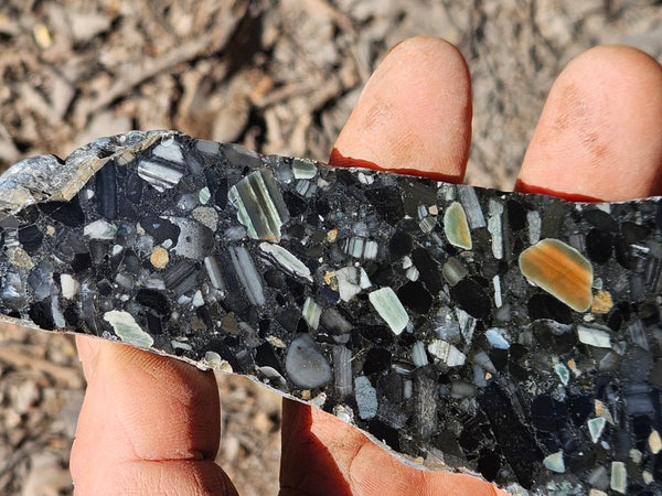 Black Jasper Conglomerate slab B231