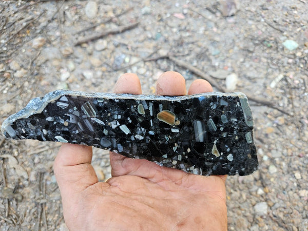 Black Jasper Conglomerate slab B231