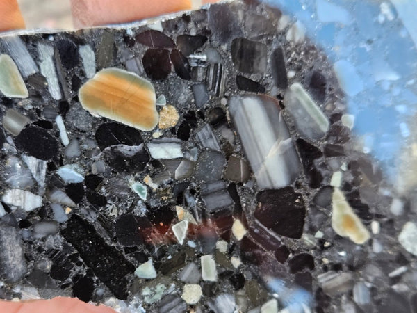Black Jasper Conglomerate slab B231