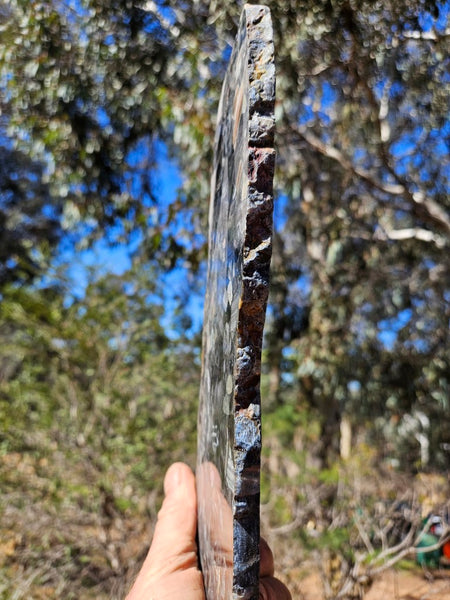 Black Jasper Conglomerate slab B232