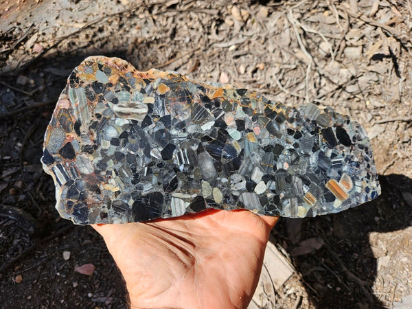 Black Jasper Conglomerate slab B232