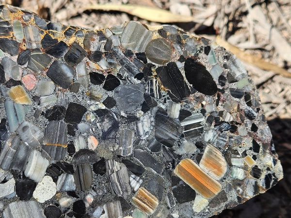 Black Jasper Conglomerate slab B232