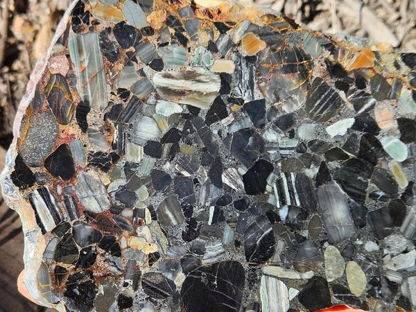 Black Jasper Conglomerate slab B232