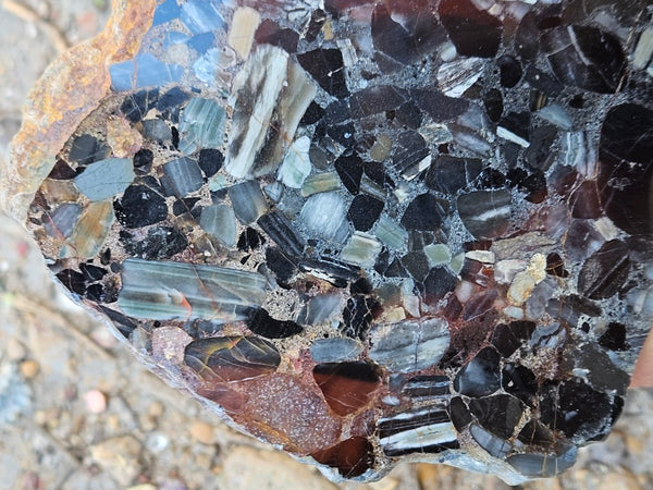 Black Jasper Conglomerate slab B232