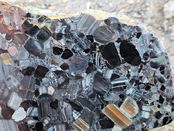 Black Jasper Conglomerate slab B232