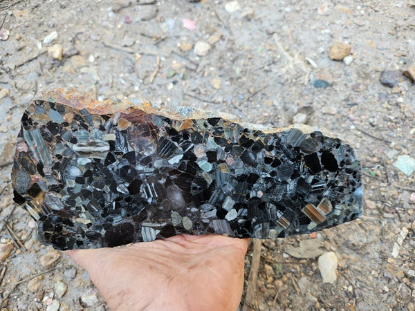 Black Jasper Conglomerate slab B232
