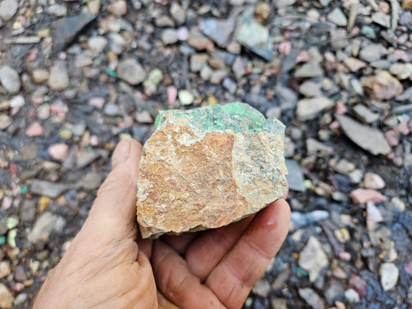 Variscite rough. VR614