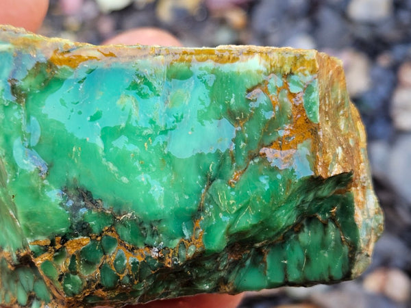 Variscite rough. VR614