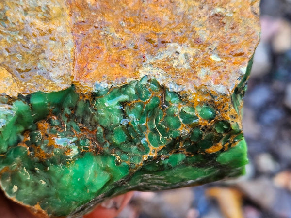 Variscite rough. VR614