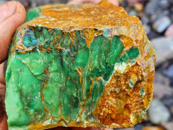 Variscite rough. VR614