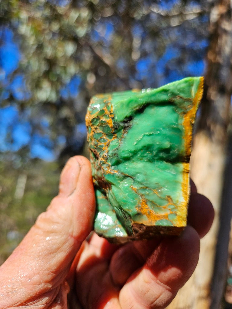 Variscite rough. VR614