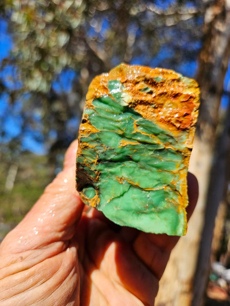 Variscite rough. VR614