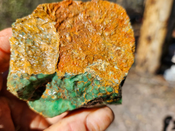 Variscite rough. VR614