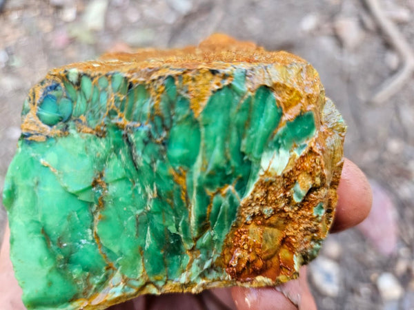 Variscite rough. VR614