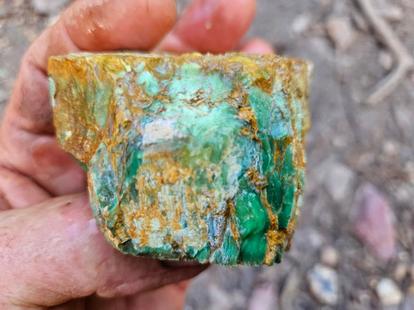 Variscite rough. VR614