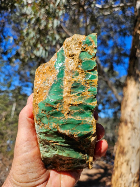 Variscite rough. VR615